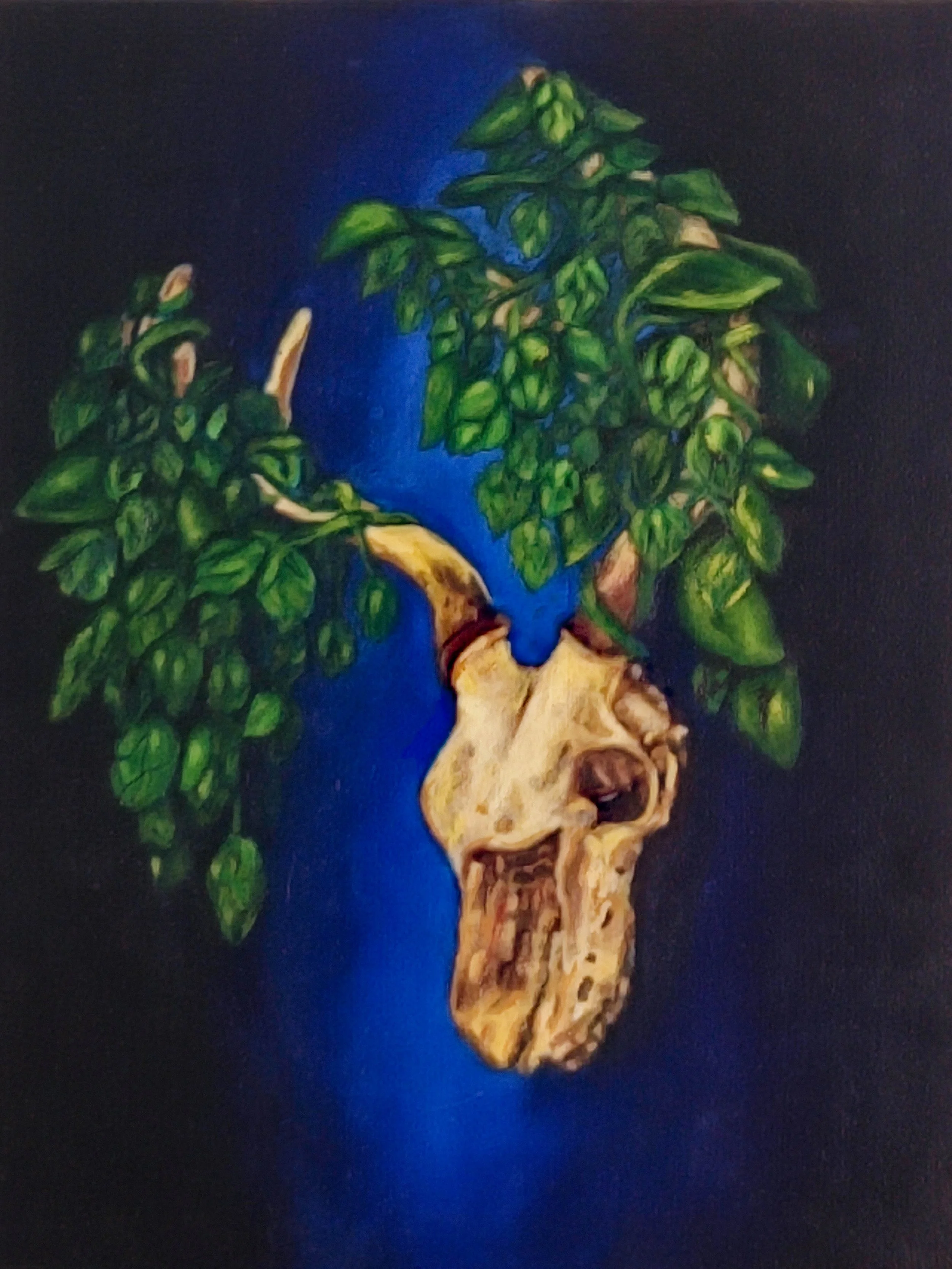 The Hop King, 2024. 
Oil on canvas -
16" x 20" / 40 x 50cm