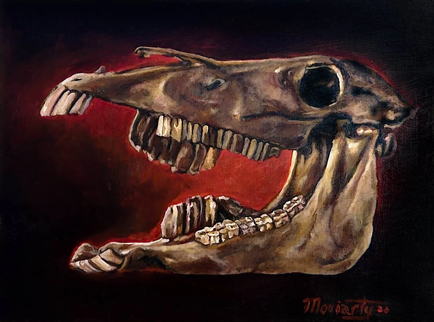 ...Yay Bronco,  2025. 
Oil on canvas -
24" x 18" / 60 x 45 cm
