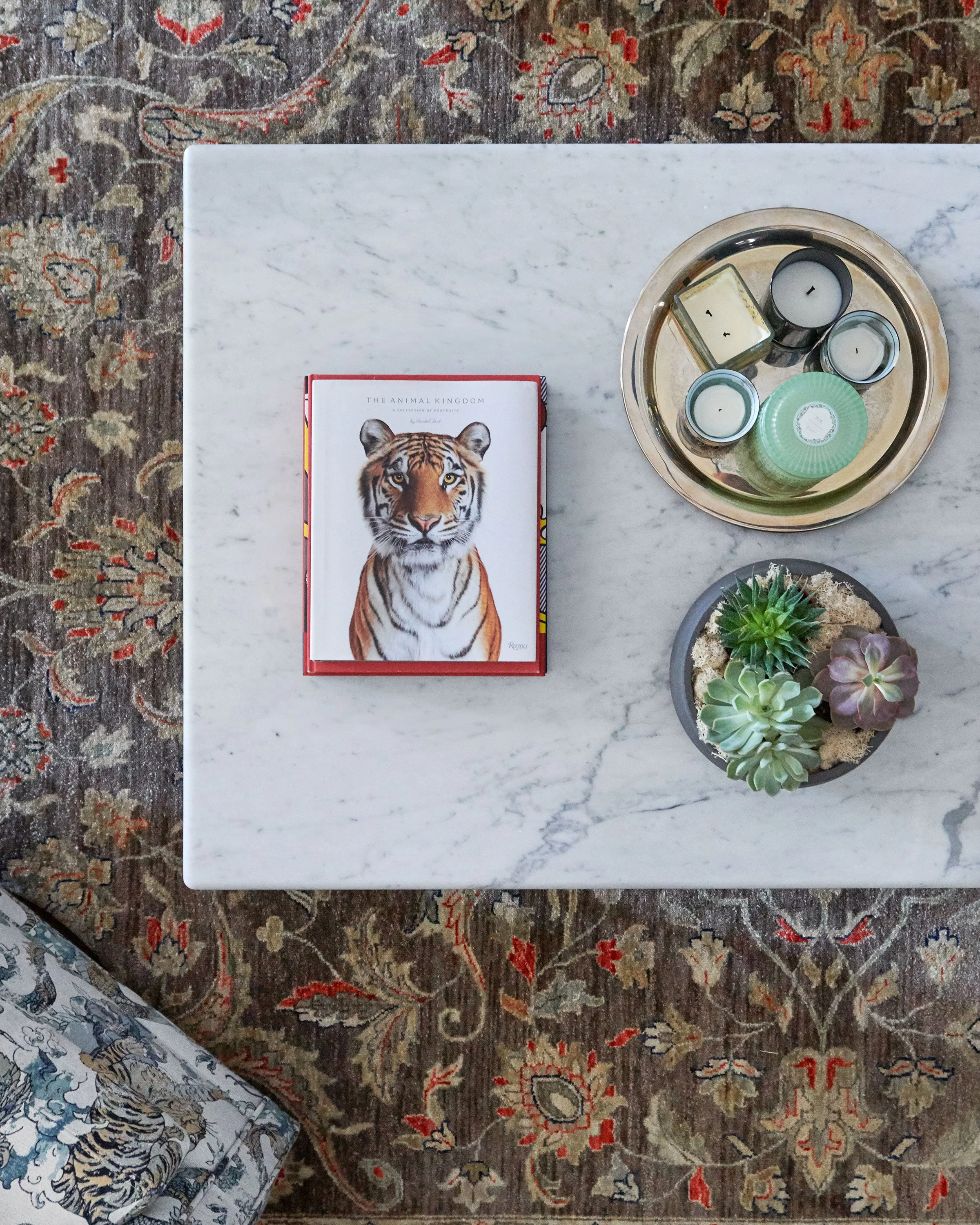 A marble-top table with a book titled 'The Animal Kingdom' featuring a tiger on the cover, a glass bowl with candles inside, and a small succulent plant in a gray pot. The table is on an ornate, patterned rug with floral motifs.