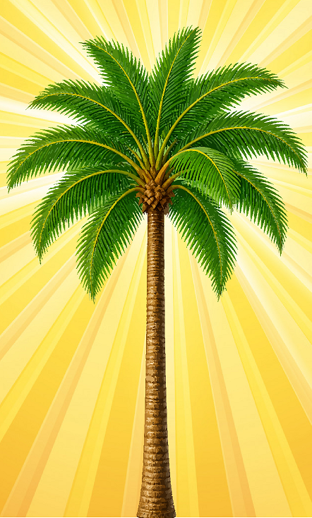 Palm Rays.png