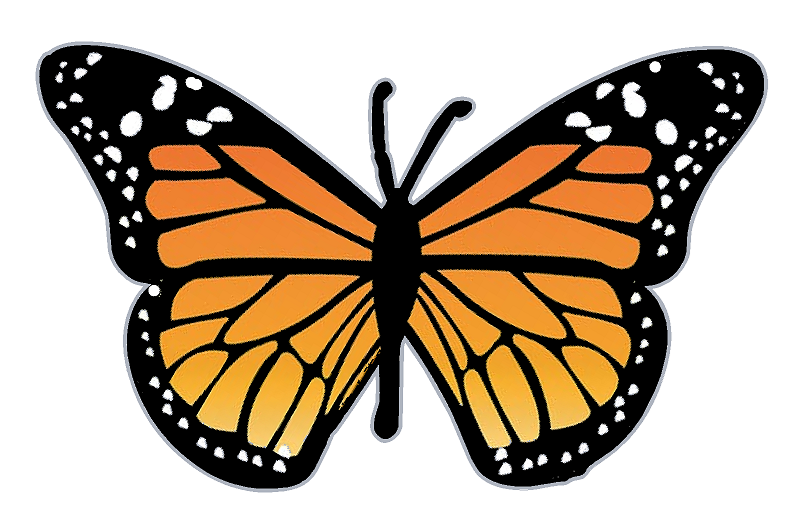 Butterfly.png