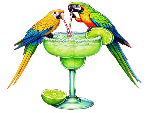 Two Parrots drinking Margarita