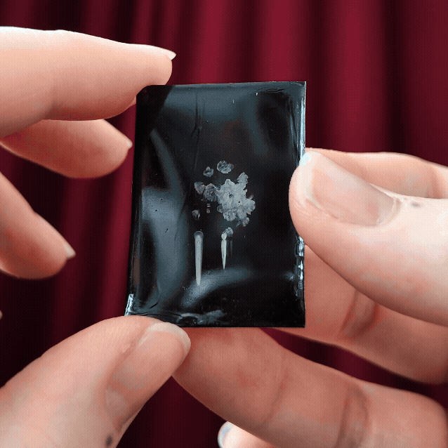 Adobe Express - square vers.gif