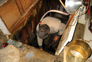 Vapor House Restoration at The Land Formerly Known as Buckhorn Springs.png