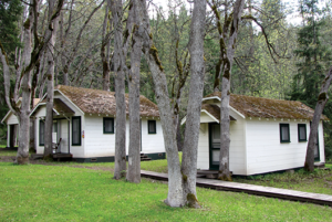 Retreat lodging cabins at The Land Formerly Known as Buckhorn Springs.png