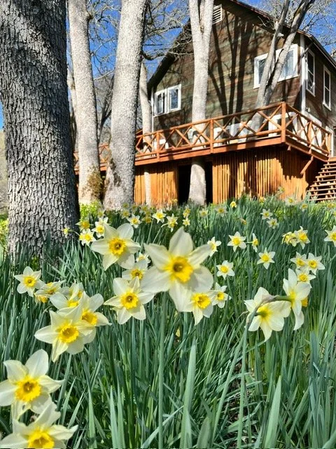 Book lodging in Ashland Oregon at Buckhorn Springs for a Private Retreat