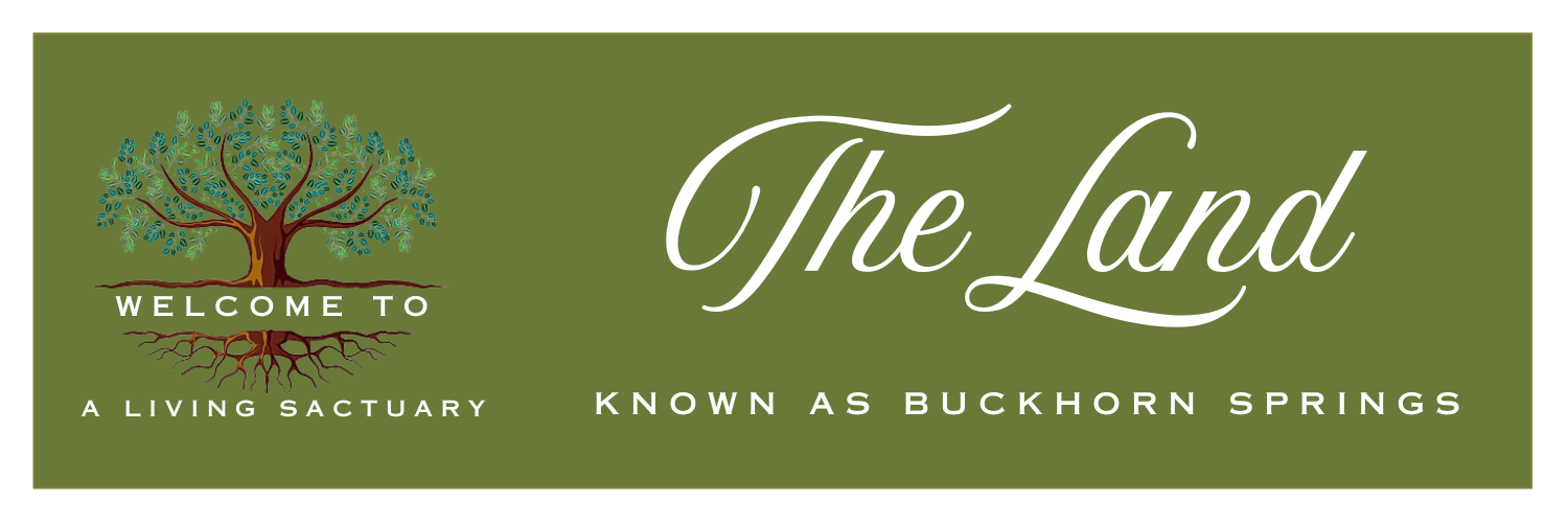 THE LAND Formerly Known as Buckhorn Springs