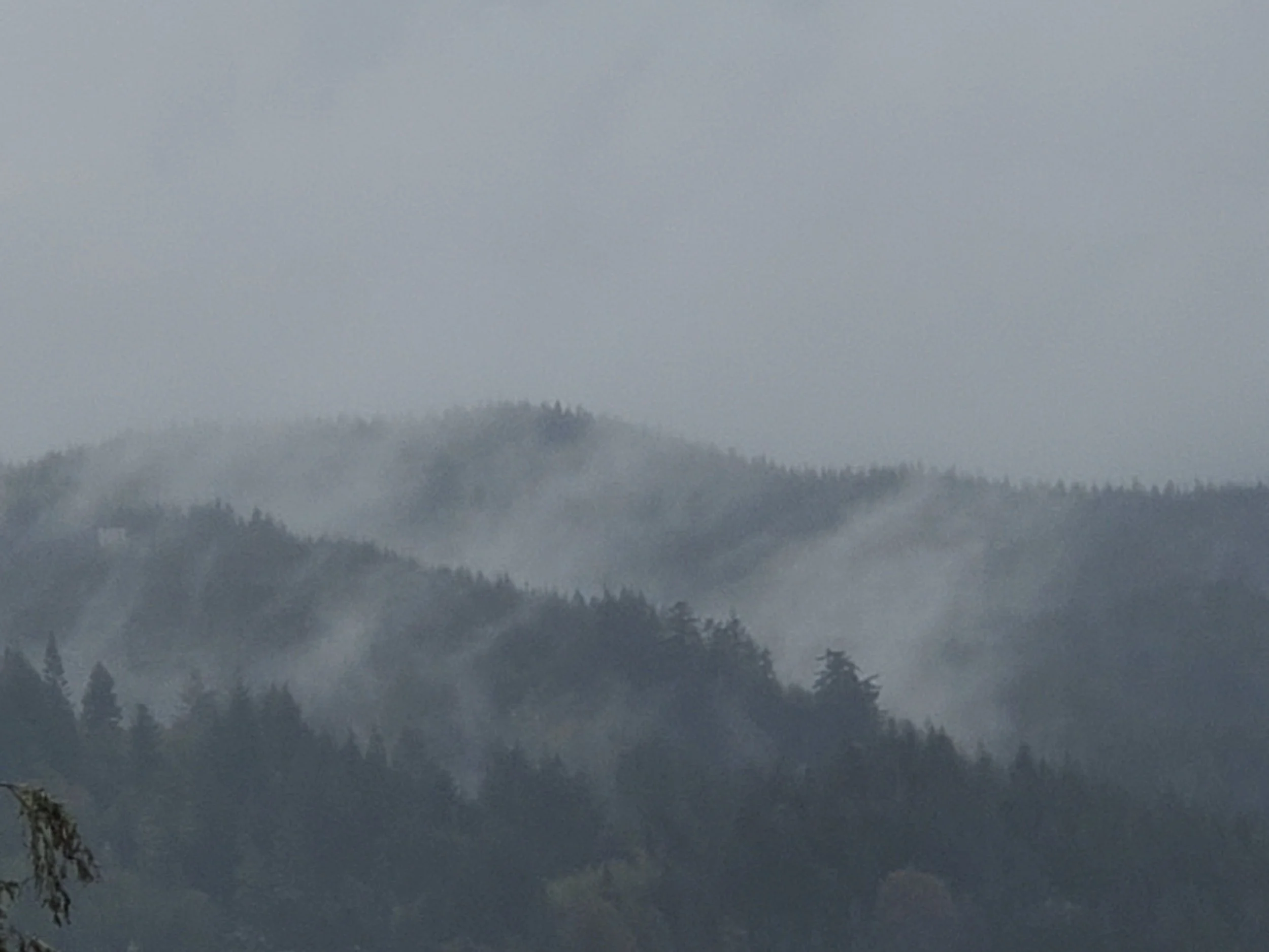 A foggy landscape with silhouettes of mountains and trees taken by the owner of JWP Locksmithing LLC in Coos Bay, Oregon.