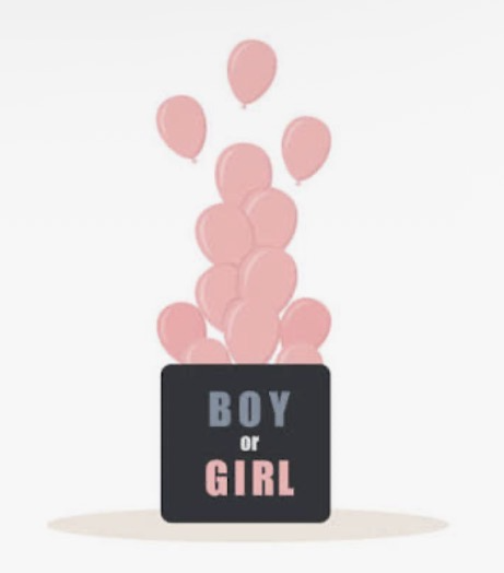Gender Reveal Box
