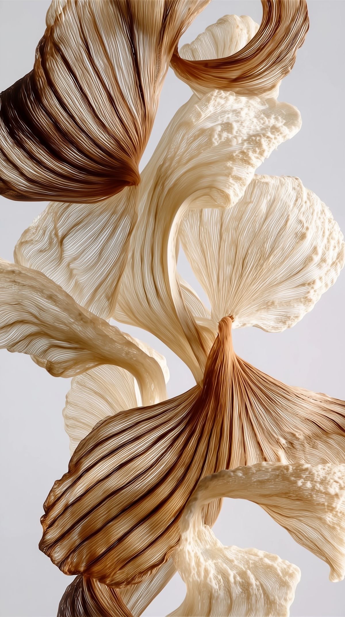 Abstract close-up of dried, curled ginkgo leaves in shades of white, beige, and brown, with detailed veins and textures.