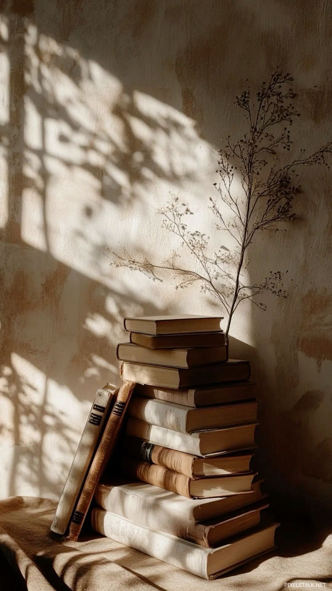 A stack of old books on a surface, with a sprig of dried plant on top, casting shadows on a textured wall.