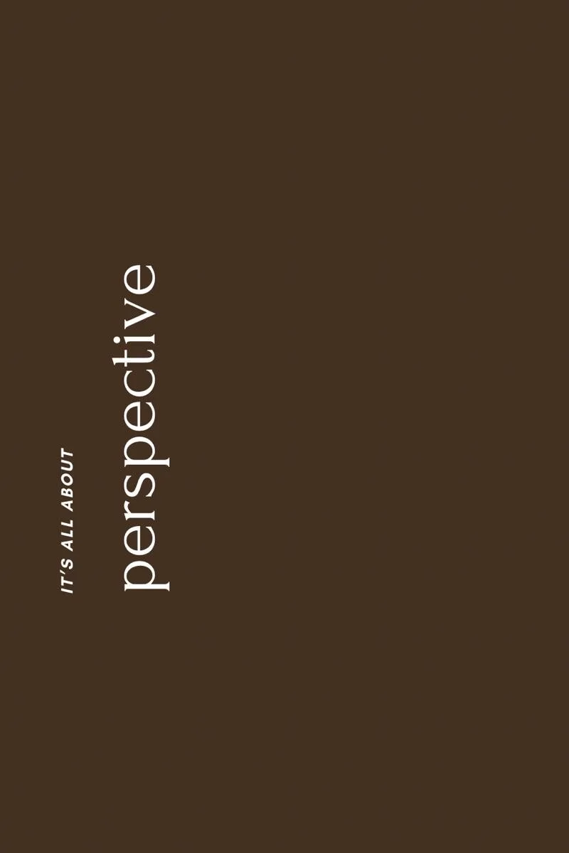 Cover of a book titled 'It's All About Perspective' with a brown background.