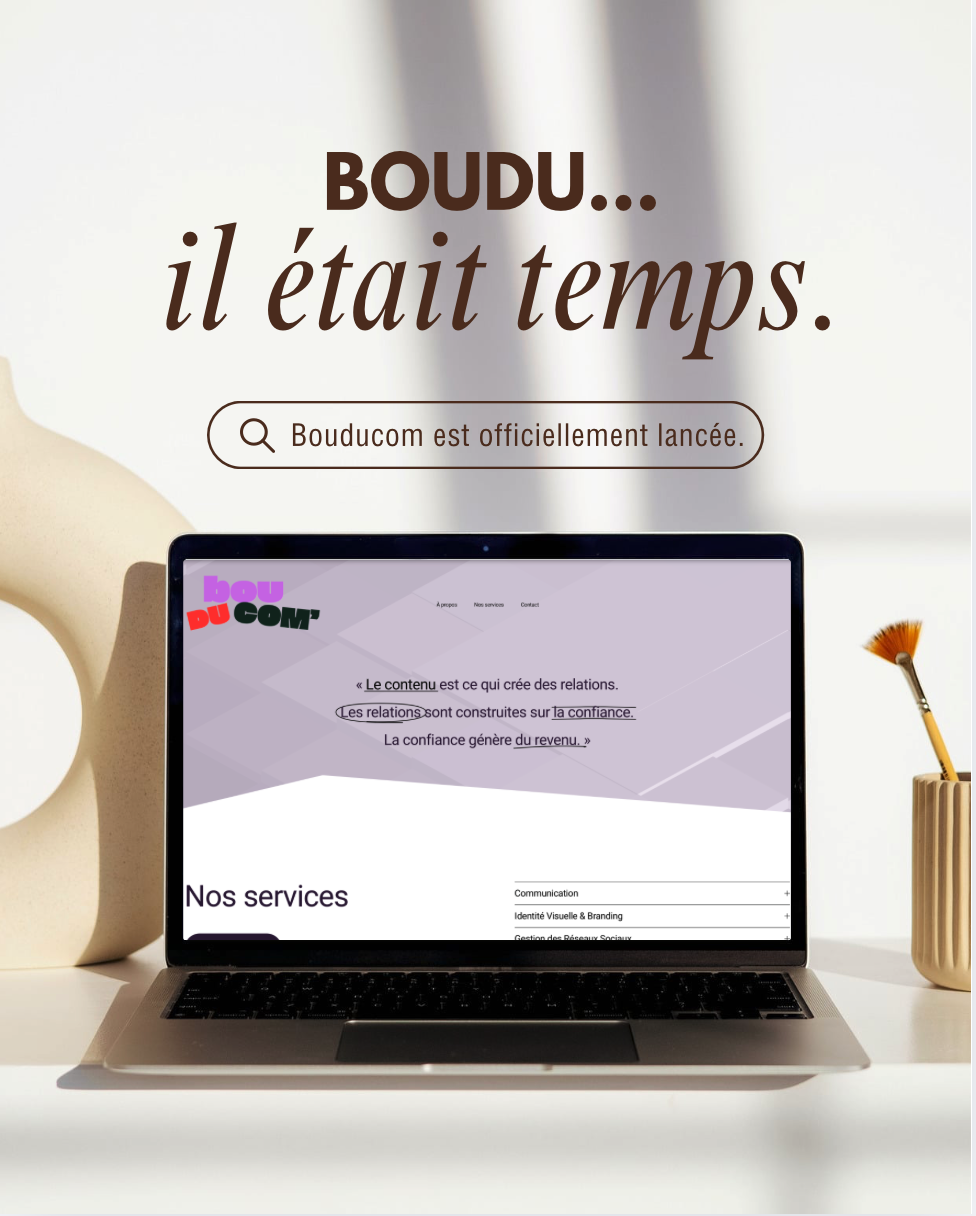 Le projet Boudu'com