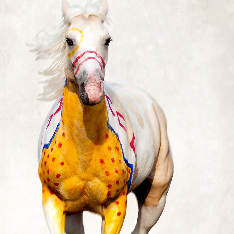 Crow War Pony-1_1500 SQUARE.jpg