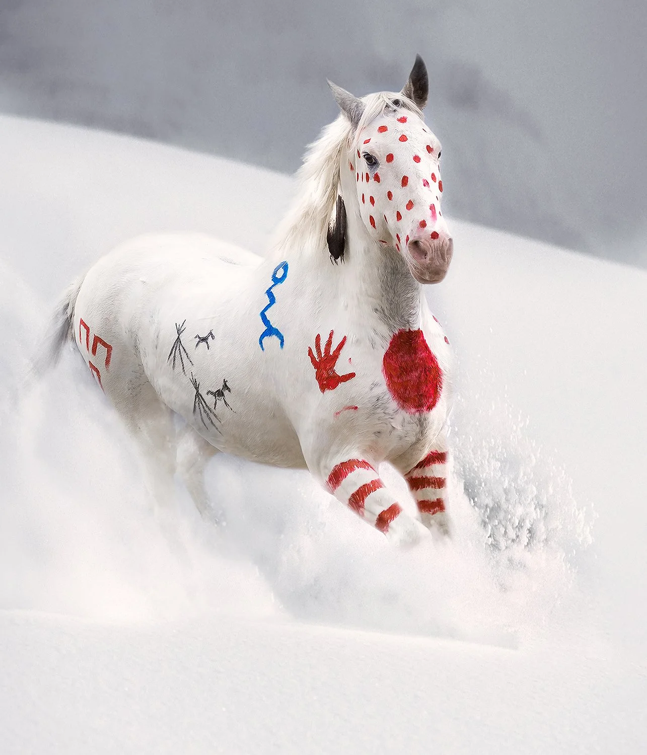 A Blackfeet medicine hat horse with war pony symbols running through snow by Brady Willette