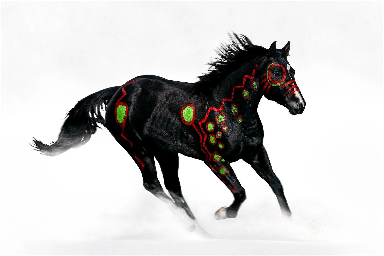 Black horse running through snow fine art by Brady Willette