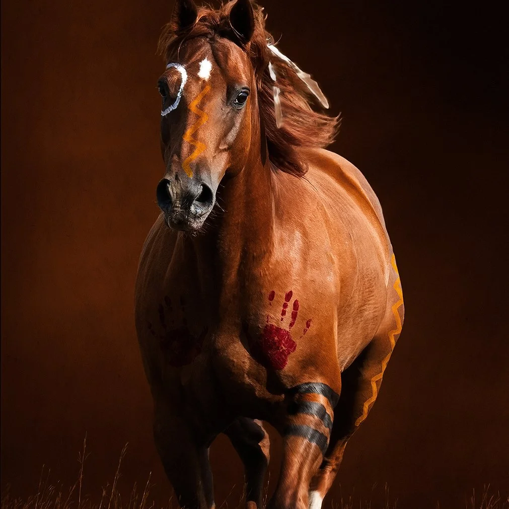 Sioux-1-1500 SQUARE.jpg