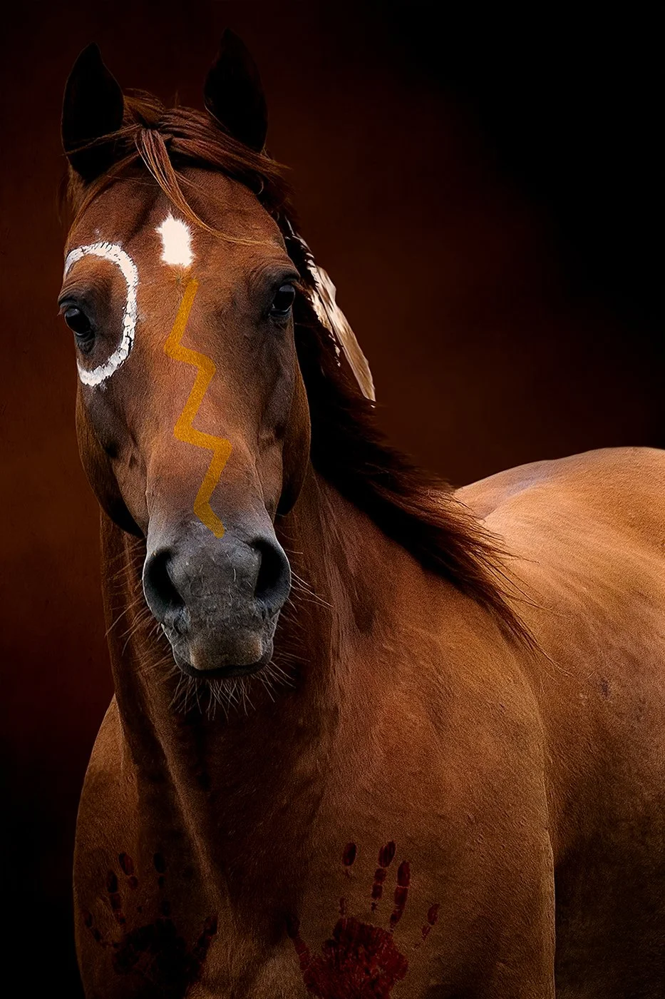 Color limited art portrait of Sioux horse with soulful eyes and a feather