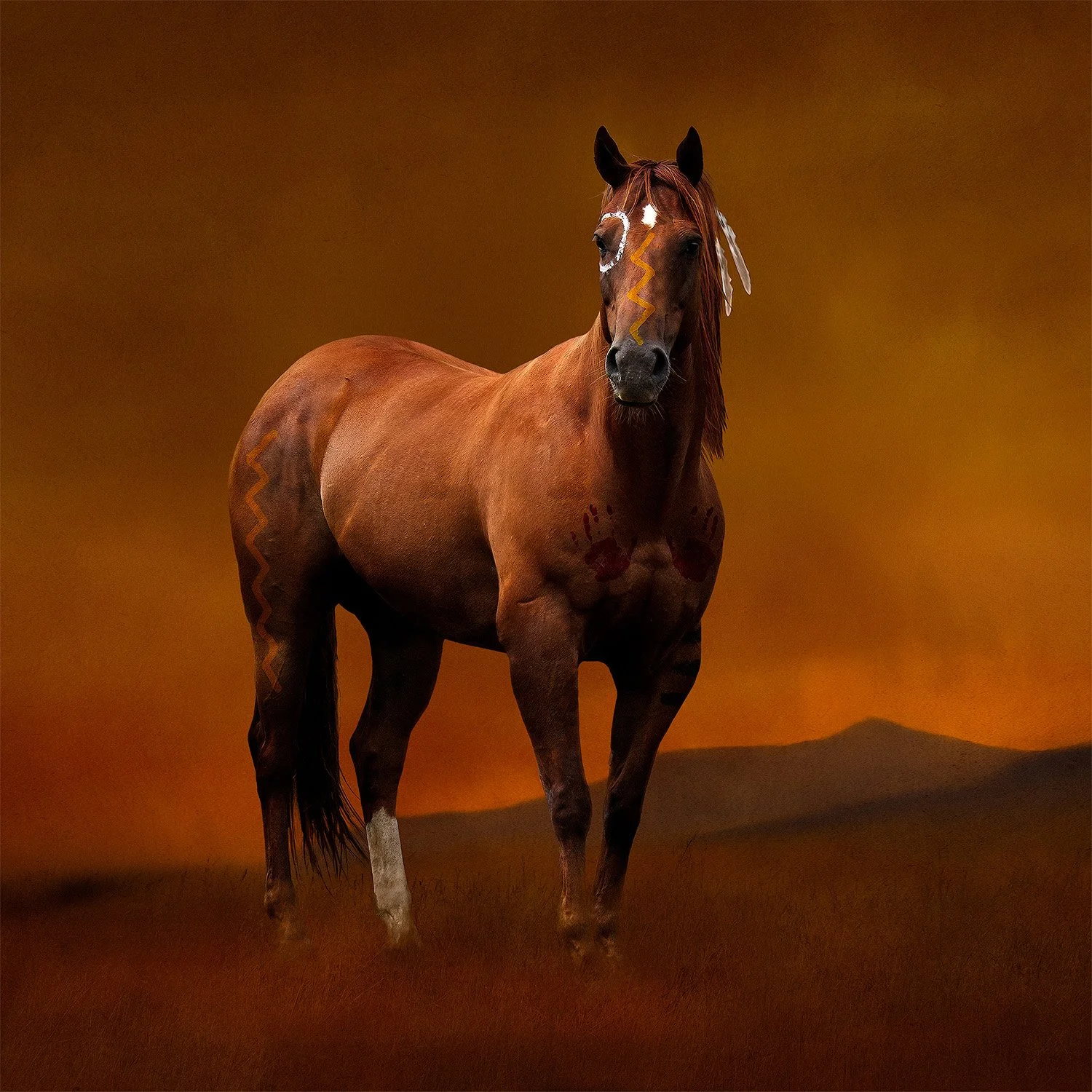 Native american Sioux horse standing proudly a War Pony Project image