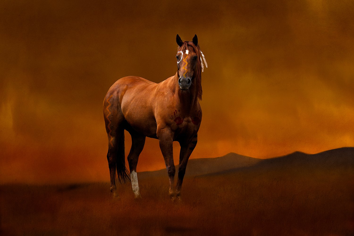 Horizontal art piece by Brady Willette's War Pony Project of a proud Sioux horse in warm light and painted background