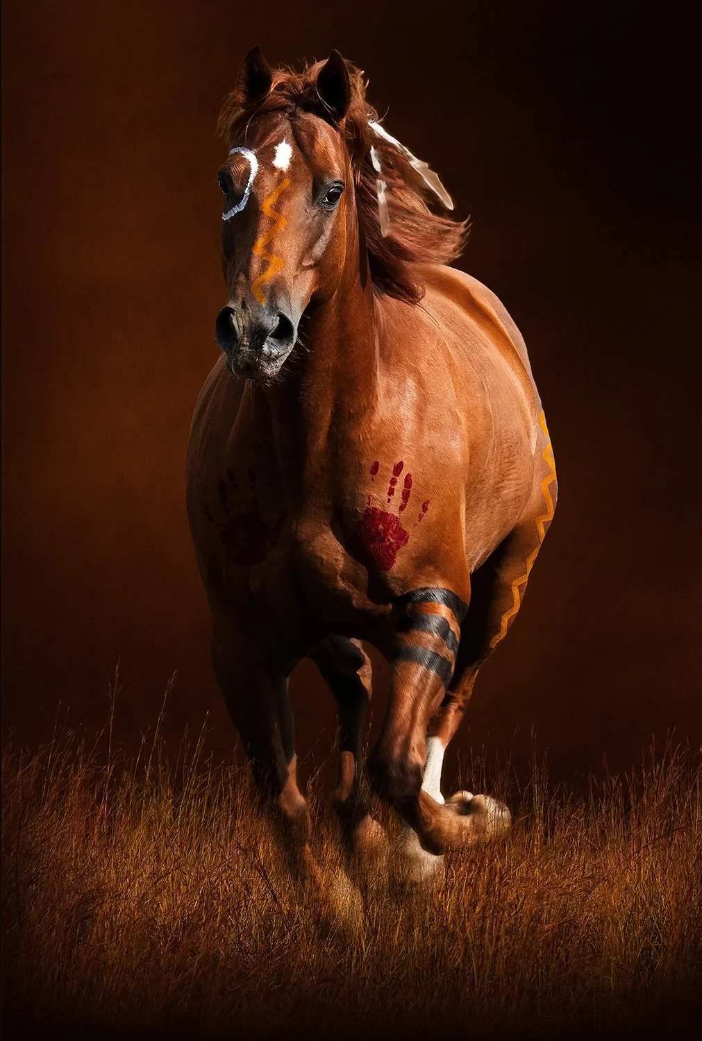 Art of horse running at viewer painted with war pony symbols in the Smithsonian collection