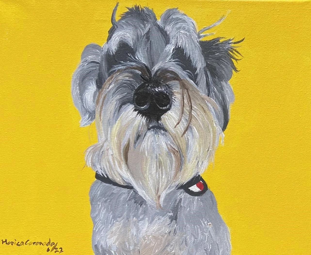 Schnauzer