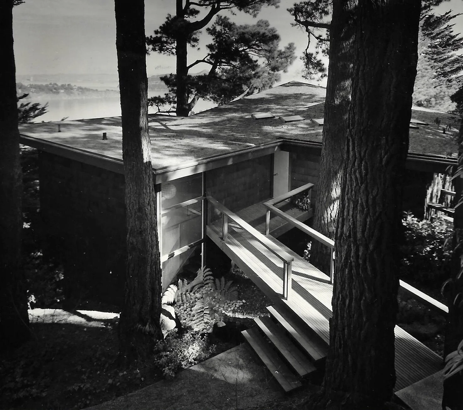 scan Laurence living0009.jpg