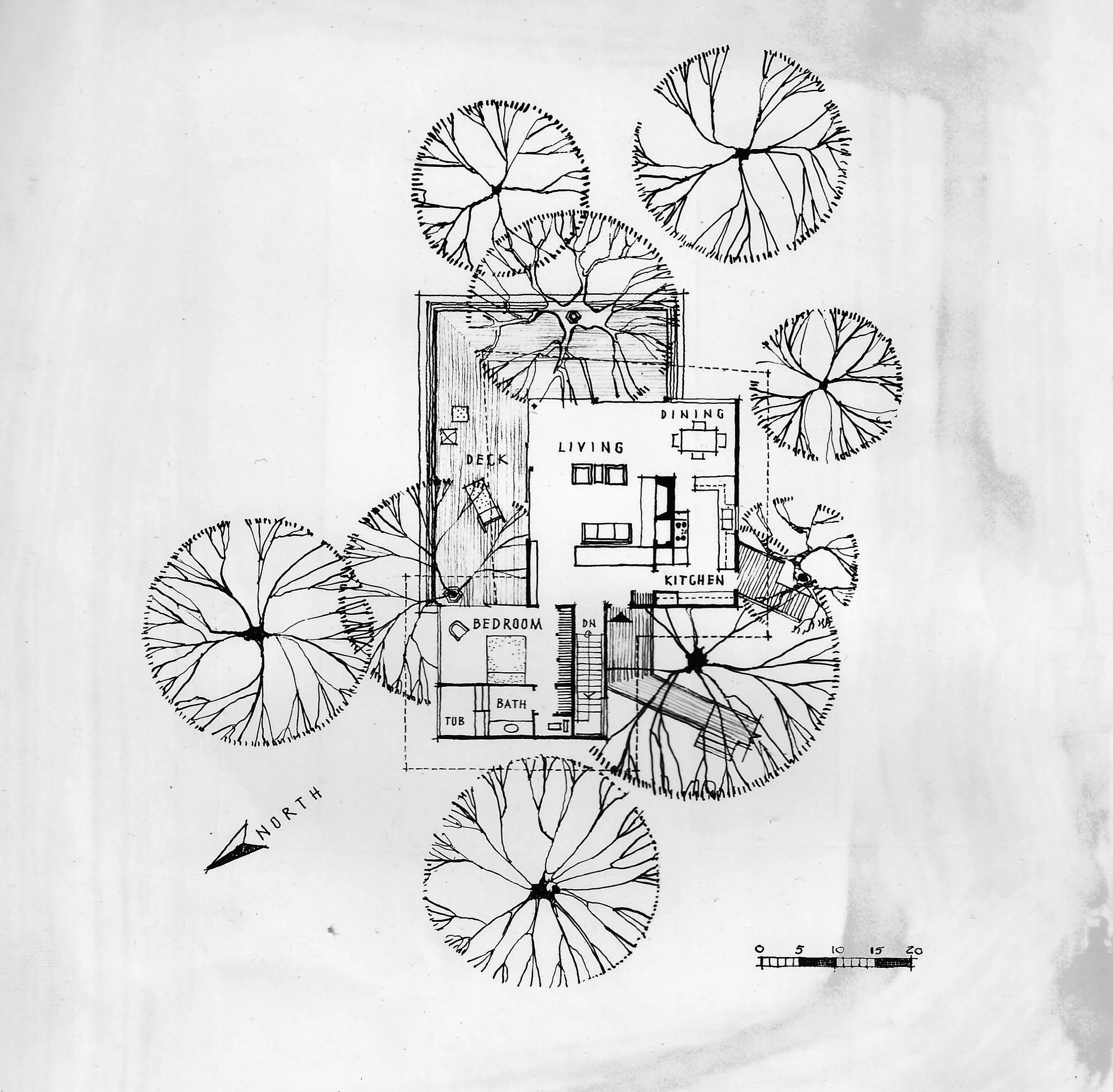 scan Laurence living0011.jpg