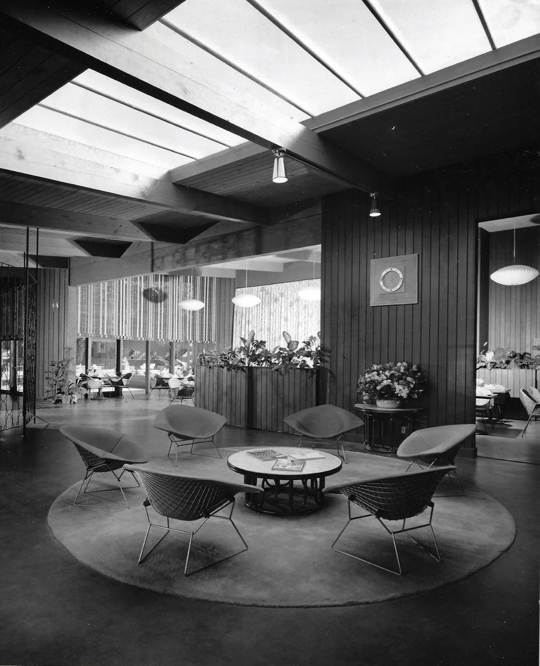 scan0020 (dragged) 4.jpg