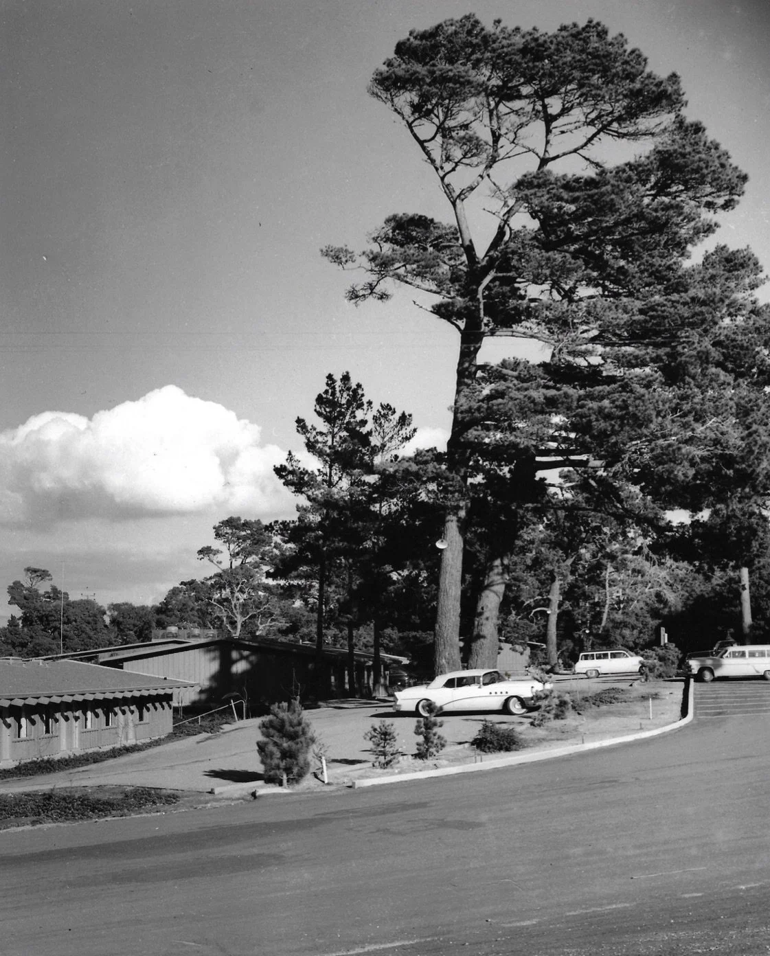 scan0020 (dragged) 2.jpg