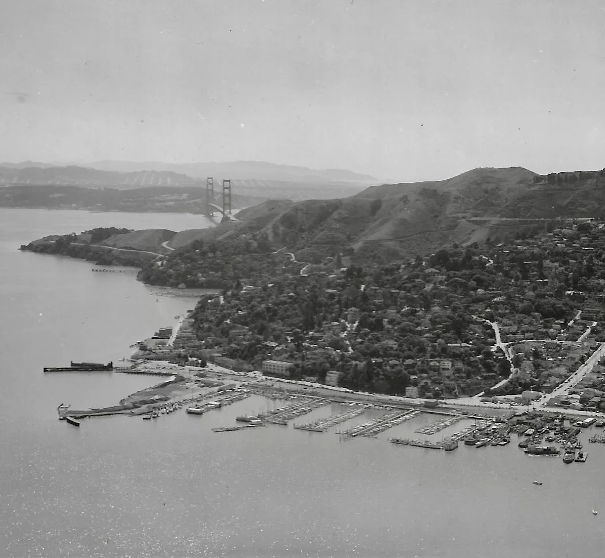 scan Laurence living0008 (1).jpg