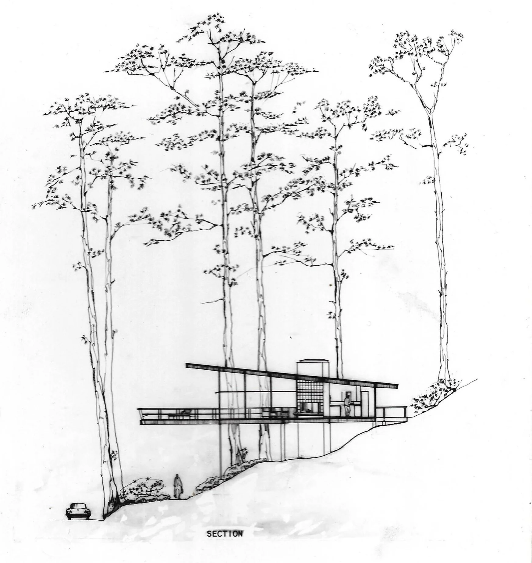 scan Laurence living0010.jpg