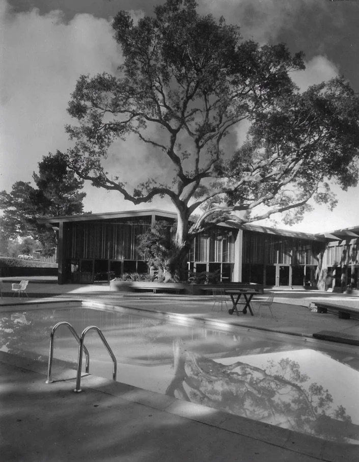 scan0020 (dragged) 10.jpg