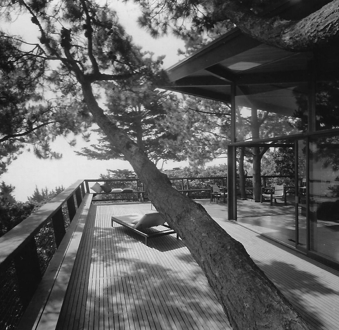 scan Laurence living0003.jpg