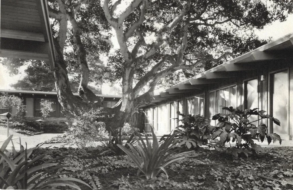 scan0020 (dragged) 11.jpg