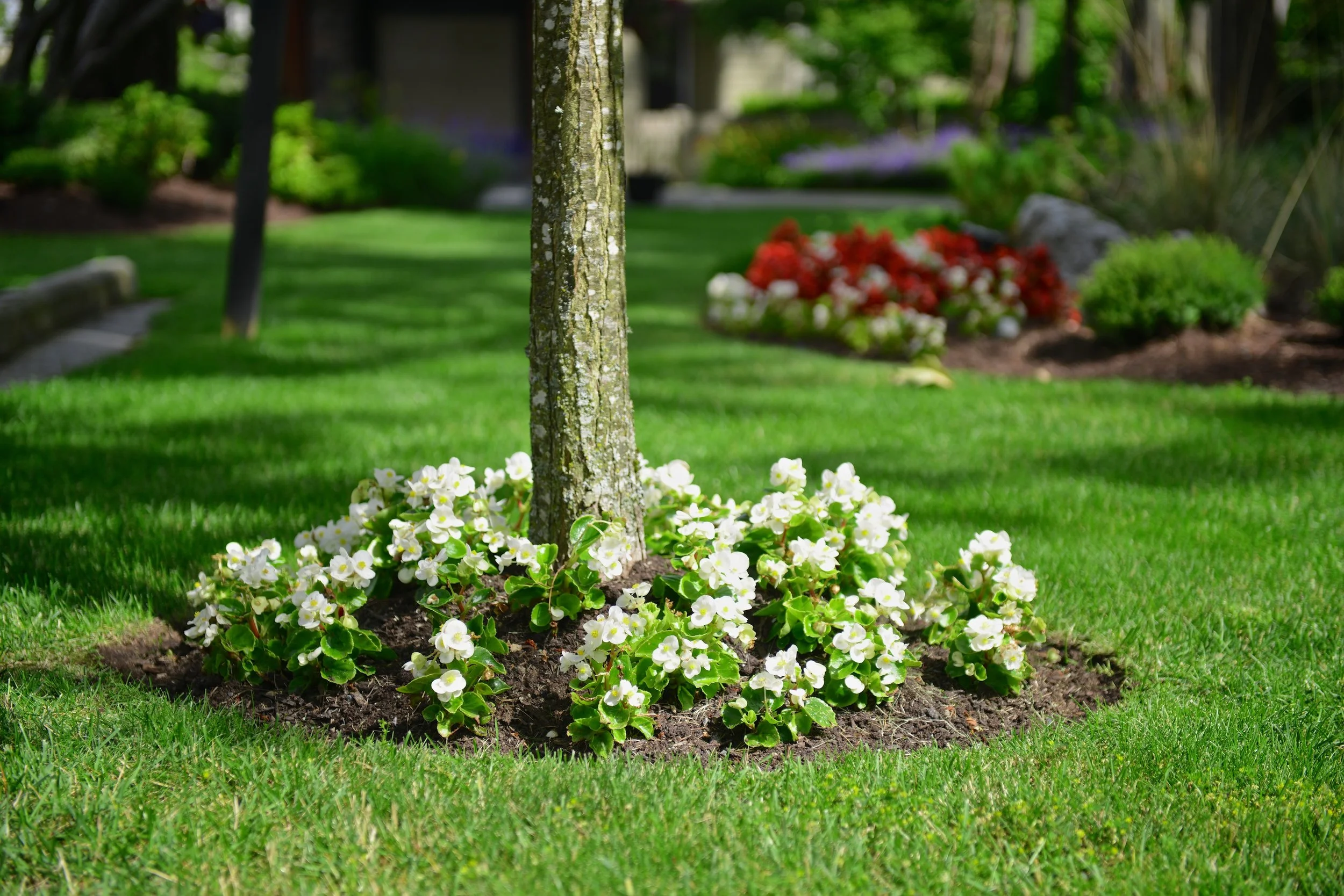 We Offer Free Estimates - Specializing in Large Stratas