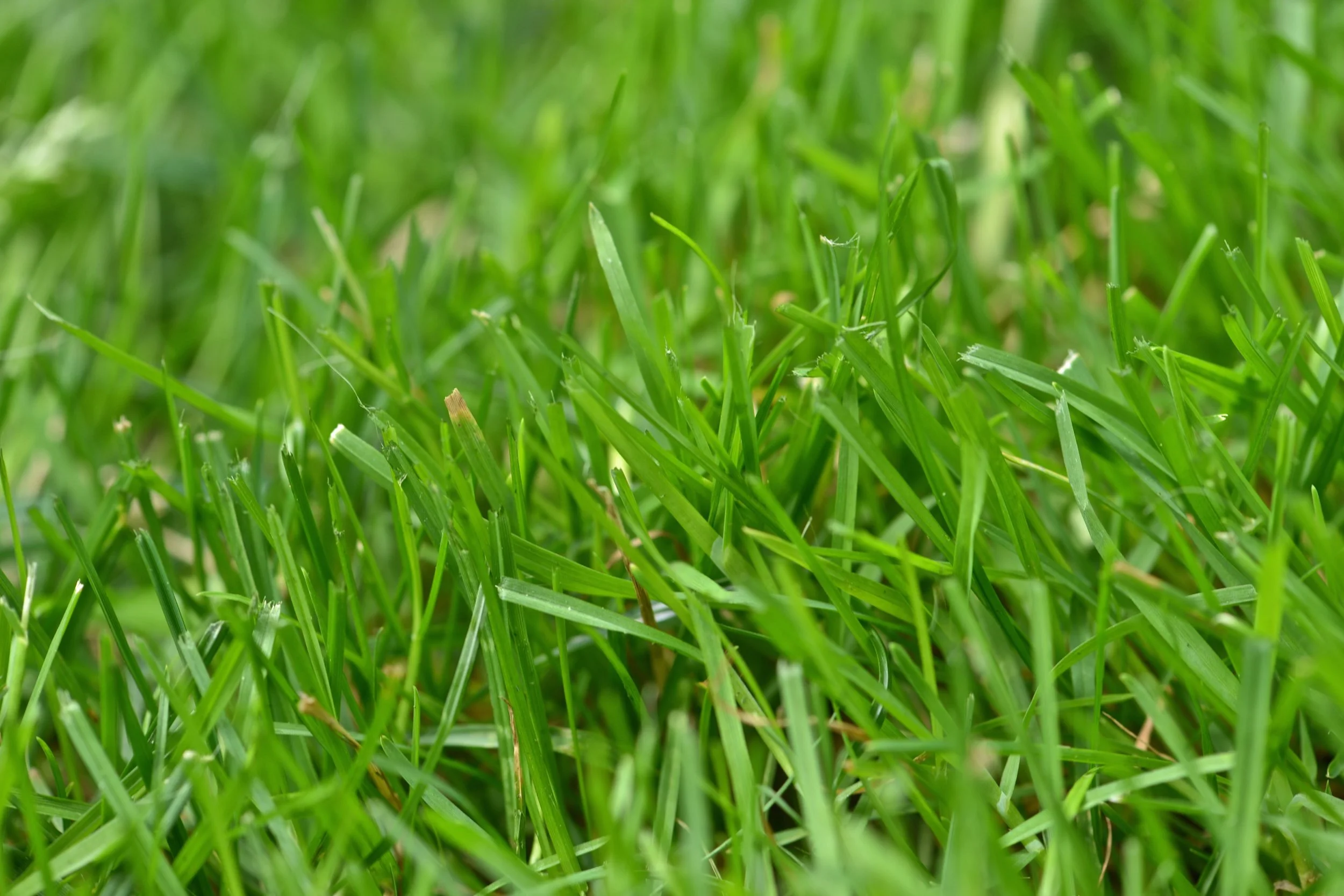 Years of Experience on our Crews