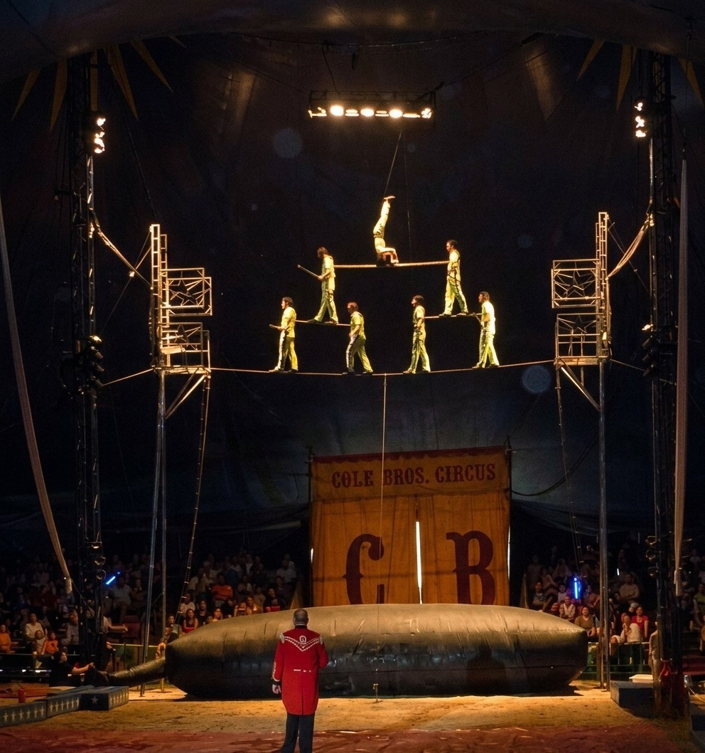 A big top tent with a circus performance underway. Performers are walking on a tightrope above a large black float with a banner that reads "Cole Bros. Circus." One performer is hanging upside down above the others, who are walking on the tightrope. 