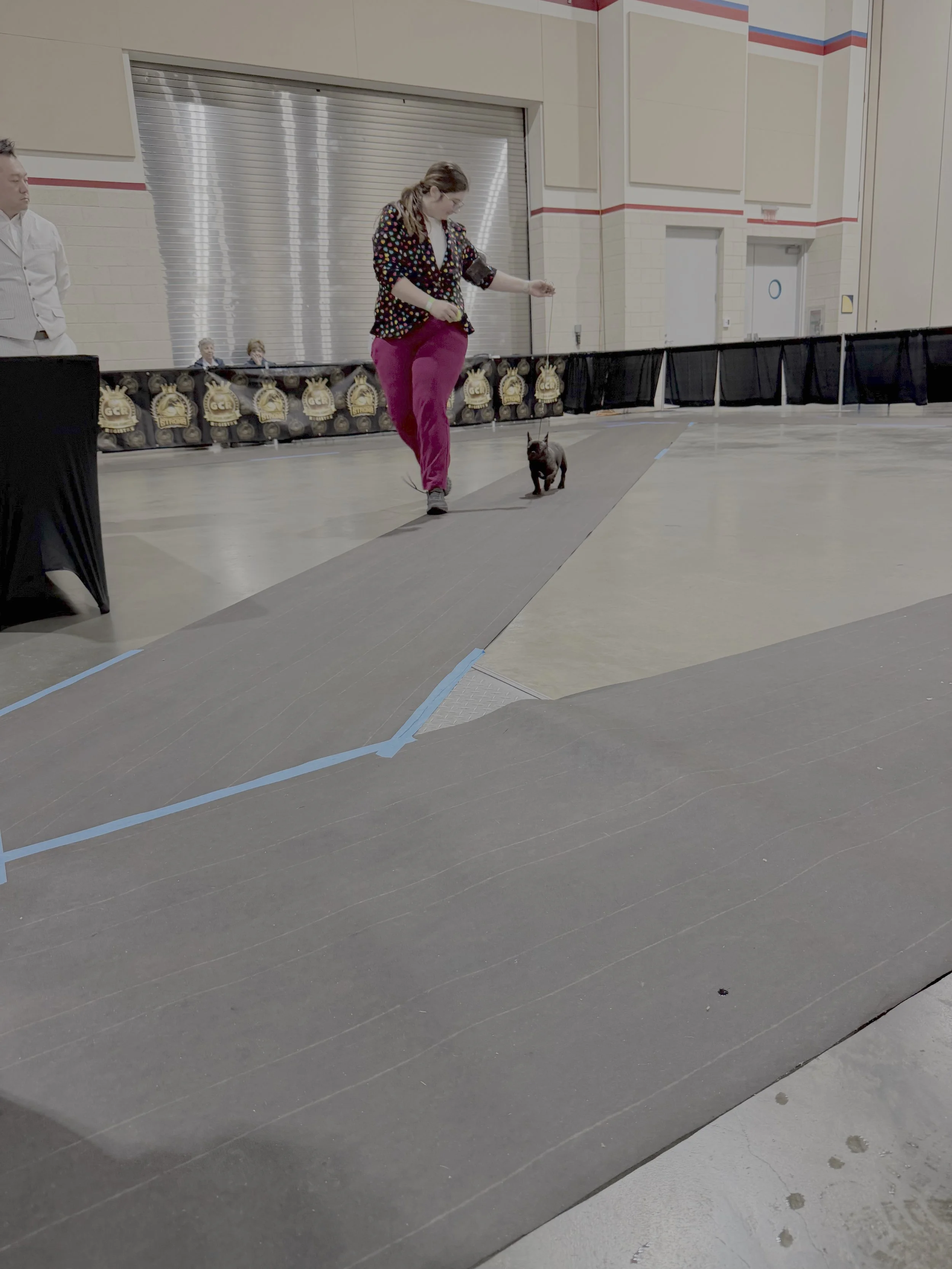 A woman walking a small black dog indoors at a dog show. The background includes a large metal roll-up door and beige walls with red and blue trim.