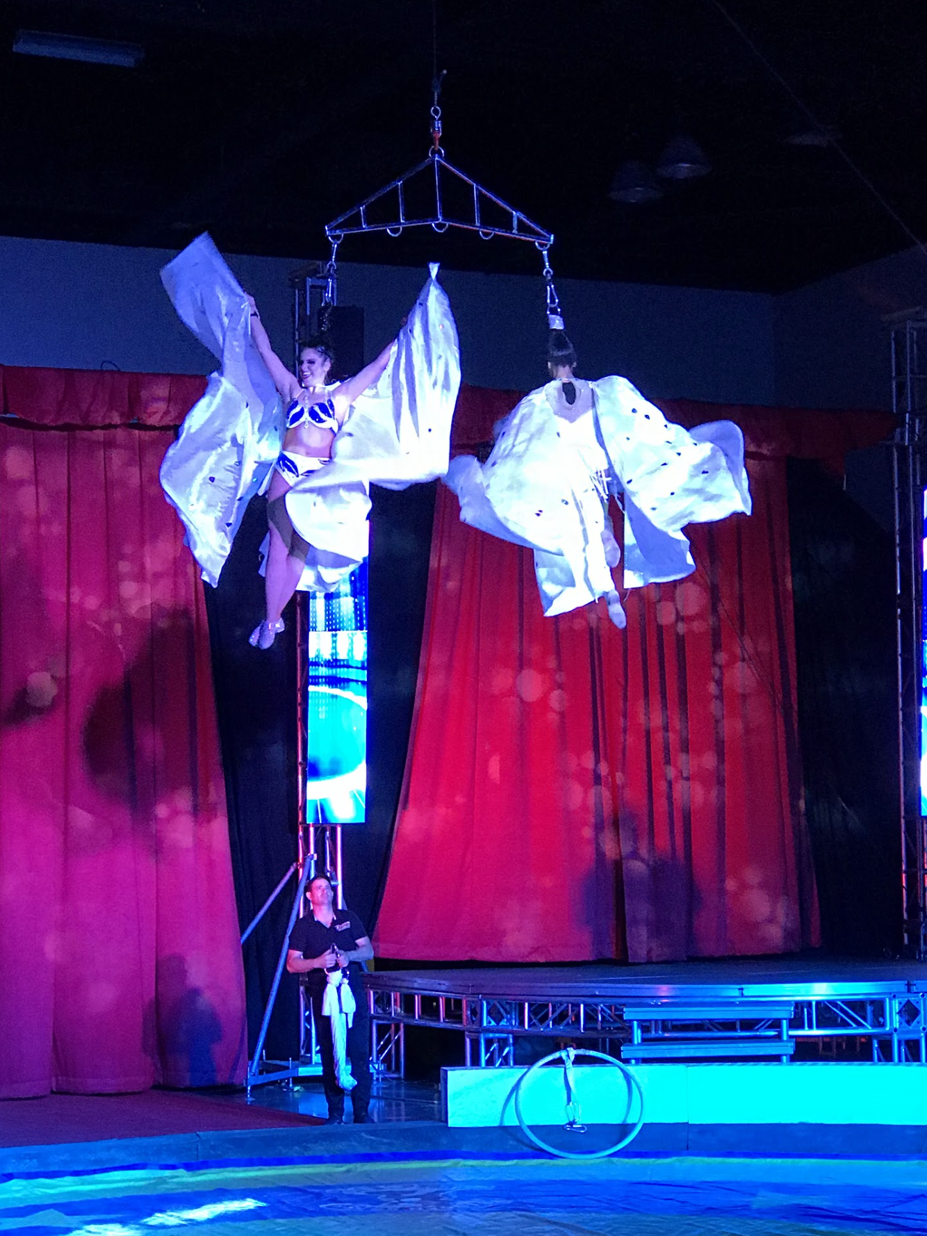 Circus performance with acrobats on a trapeze, wearing costumes, under stage lights with red curtains in the background.
