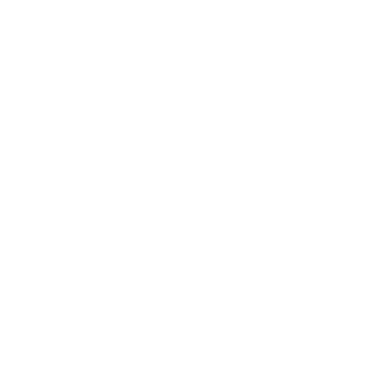 Caitlin Flint | Executive Design Leadership