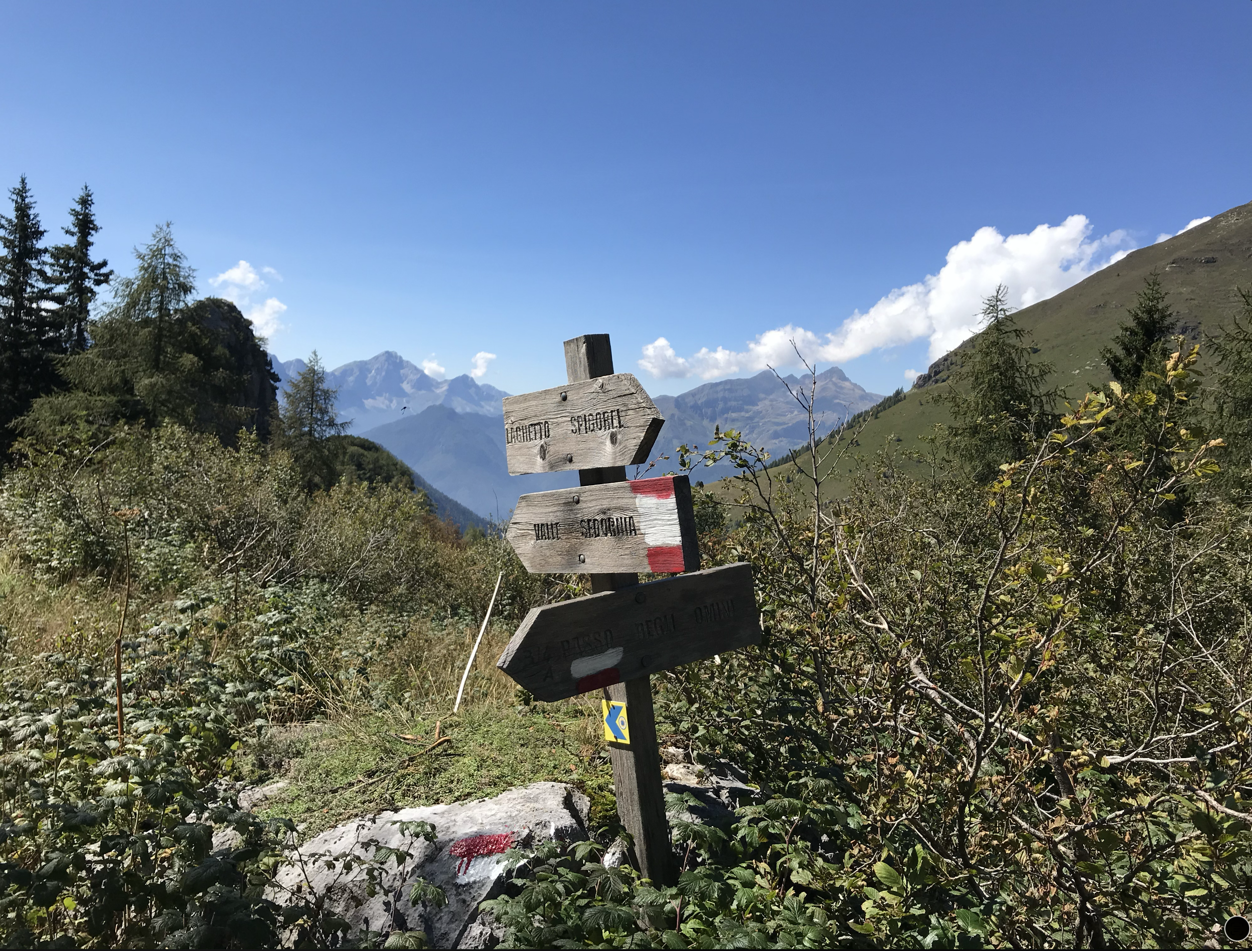 Segnali di sentiero di legno in una montagna verde con alberi e un cielo blu con alcune nuvole