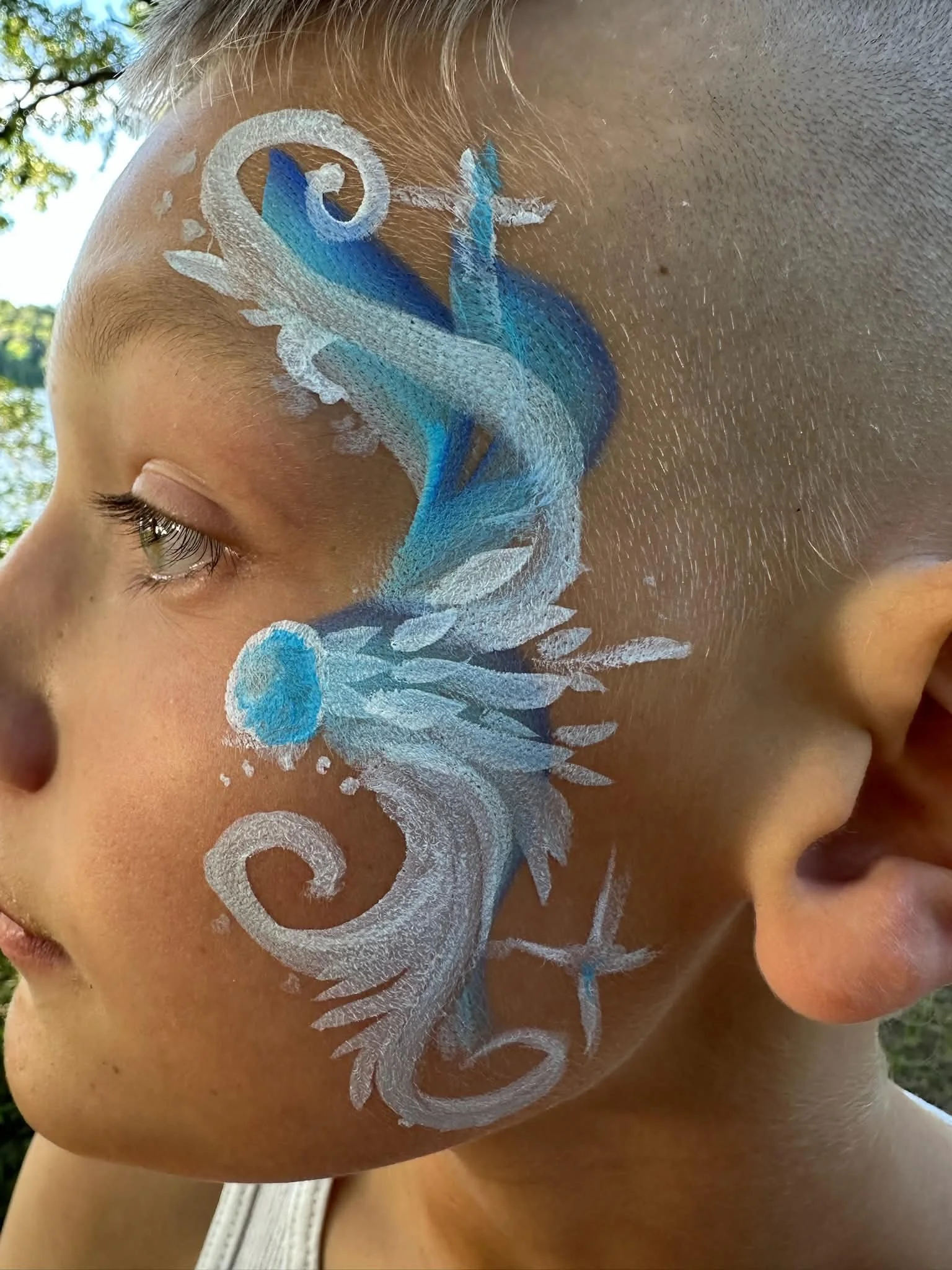 Face Paint Fairy Only