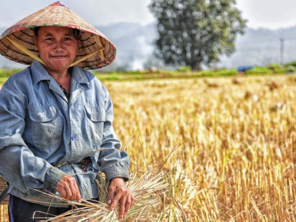 Blogs — Thought-leadership posts on climate risk, supply chains, compliance and AI.