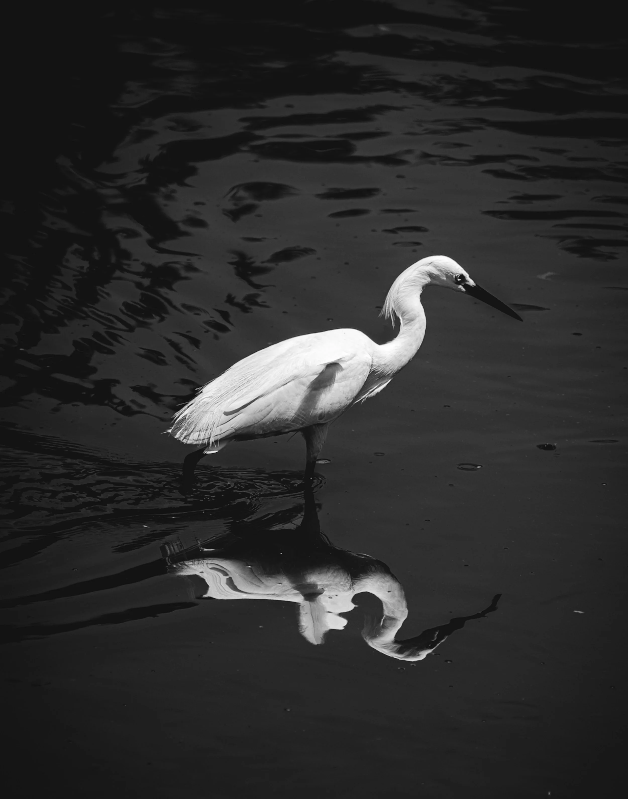 The Pool of Reflection No. 1 (2025)