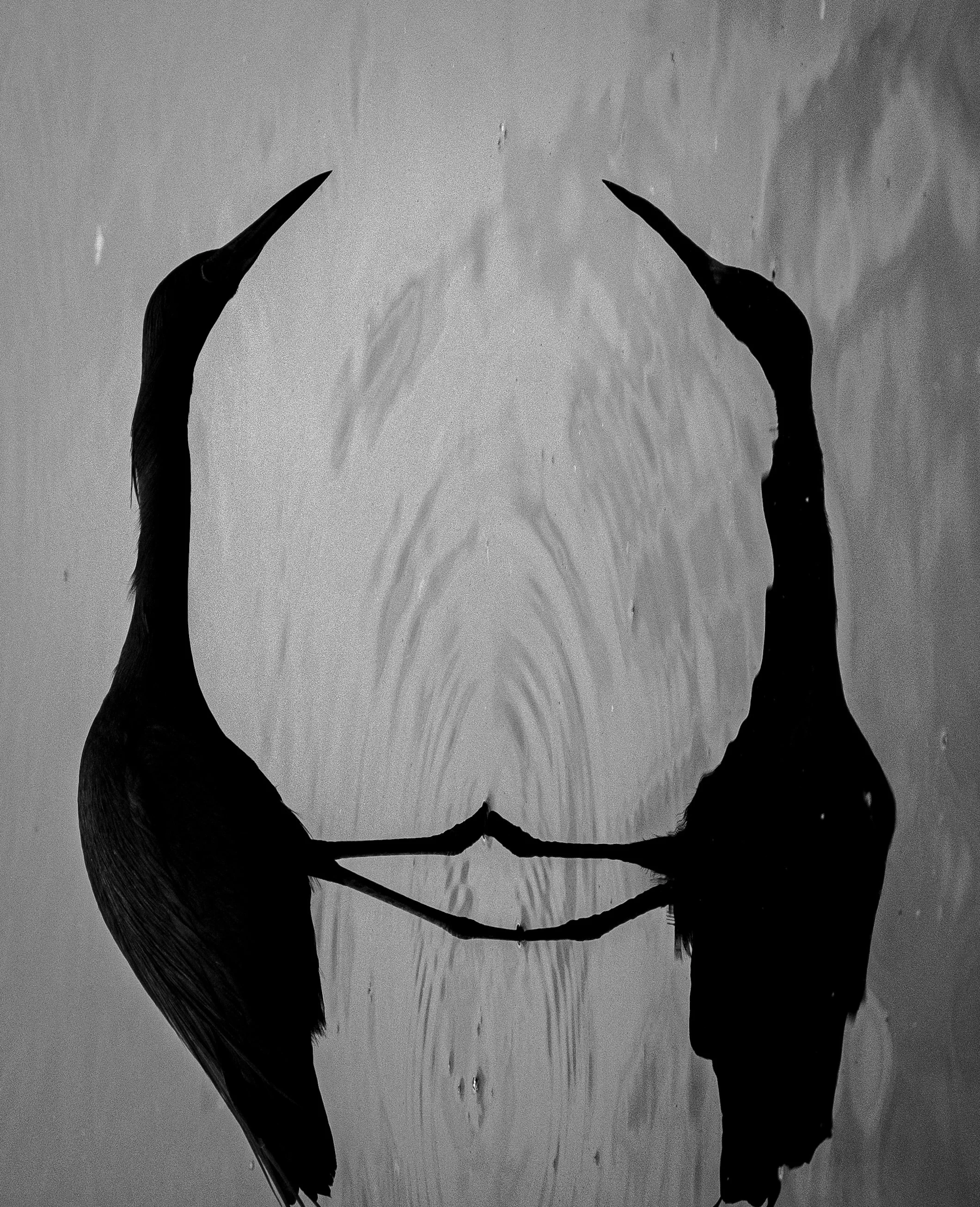 The Pool of Reflection No. 4 (2025)