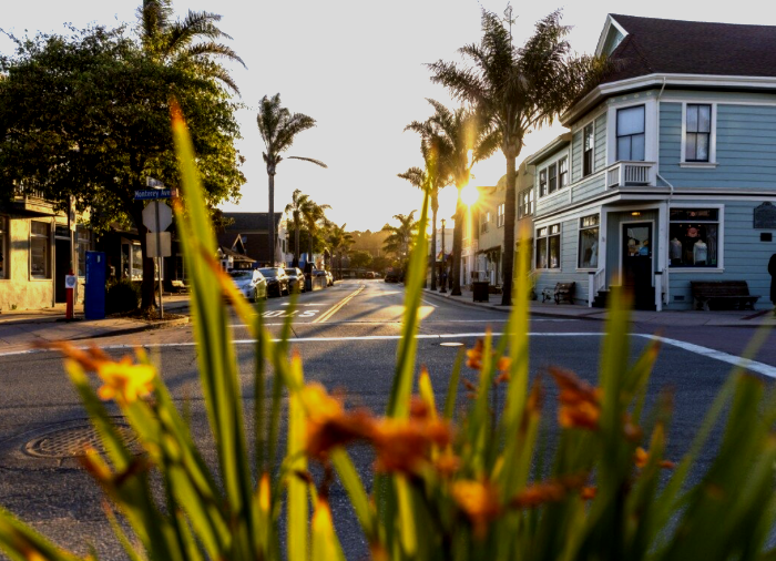 Sunset scene in a small town with blooming flowers in the foreground, palm trees, and buildings lining the street.