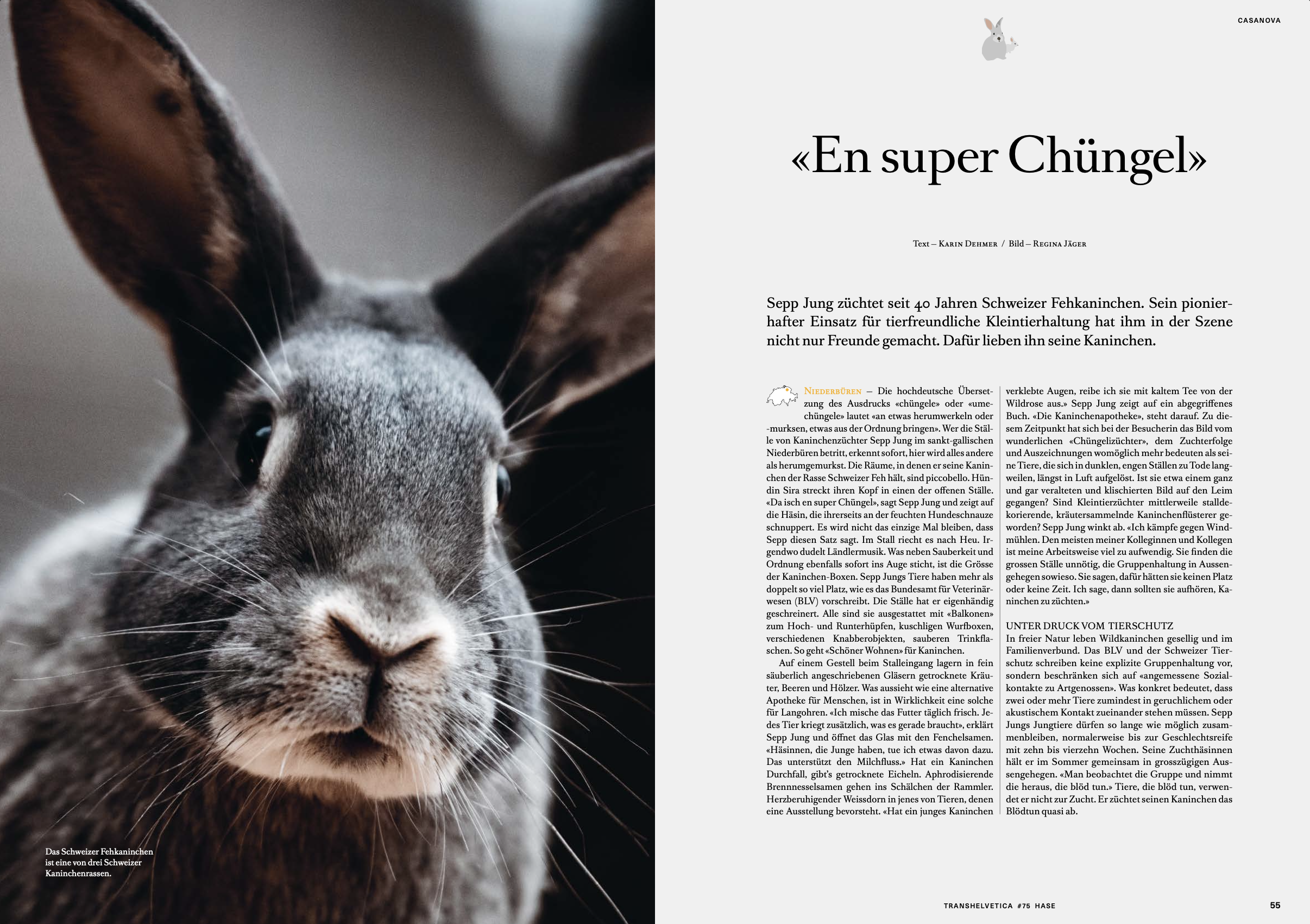 Transhelvetica «Hase», 2023