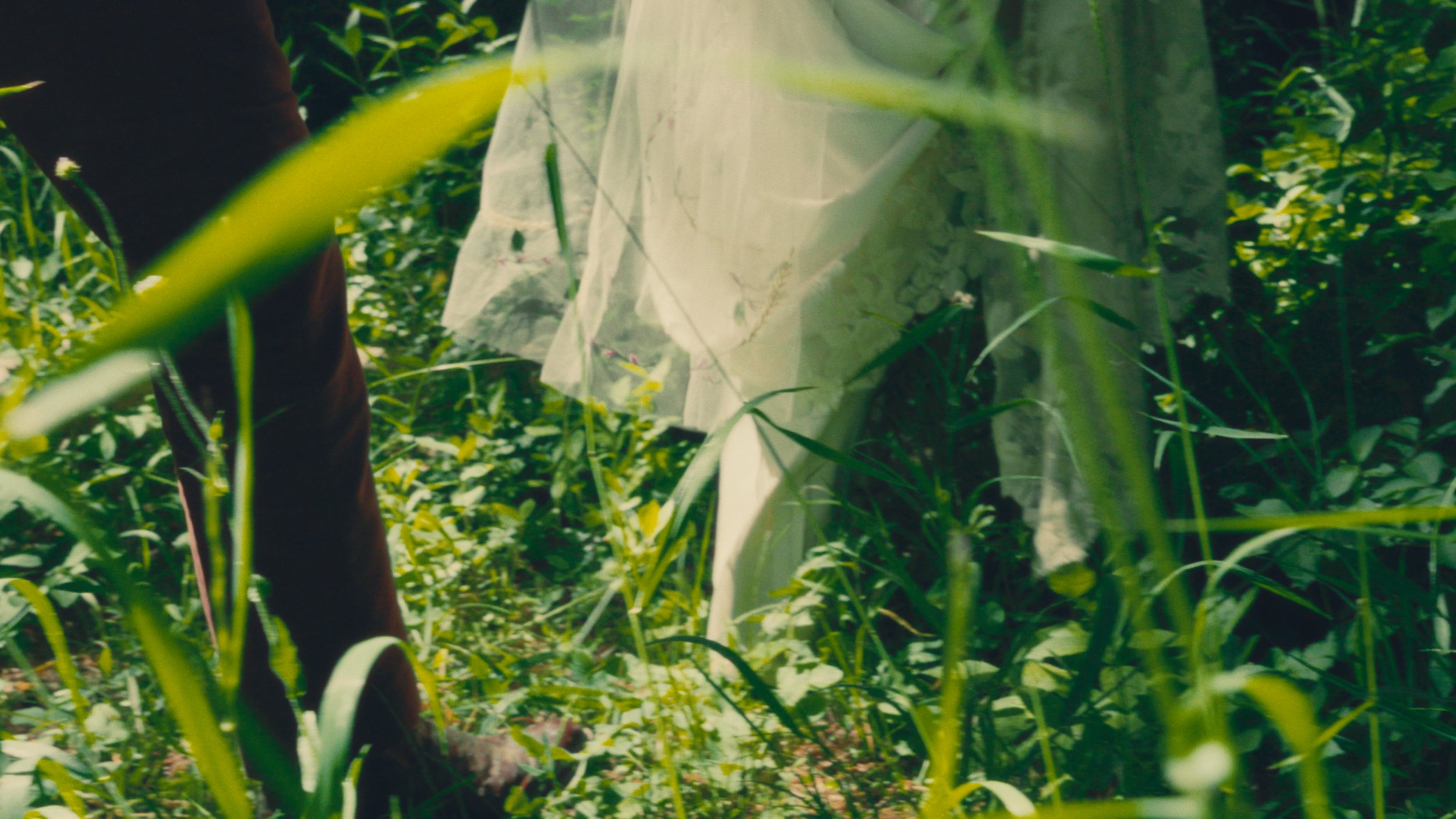 Still 2025-08-07 111535_1.6.1.jpg