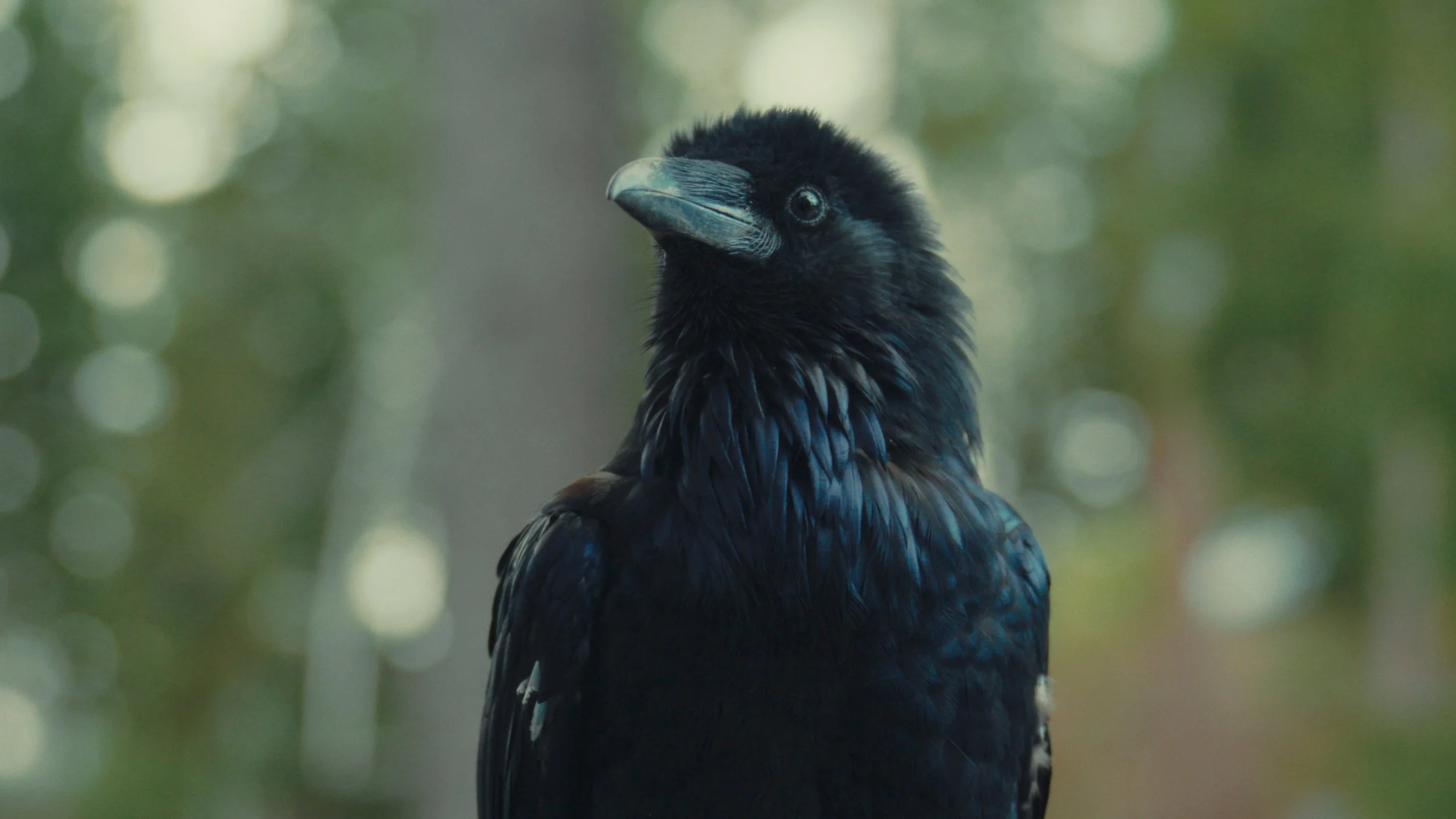 Still 2025-11-24 133134_2.2.1.jpg